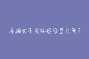 养猫会不会抓烂家里东西？