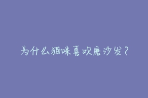 为什么猫咪喜欢磨沙发？