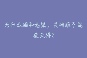 为什么猫和老鼠，共研服不能进天梯？