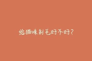 给猫咪剃毛好不好？