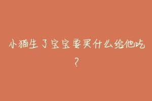 小猫生了宝宝要买什么给他吃？