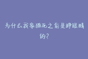 为什么我家猫死之前是睁眼睛的？