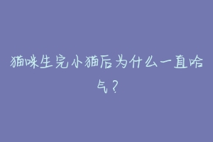 猫咪生完小猫后为什么一直哈气？