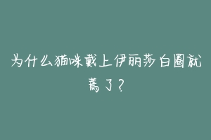 为什么猫咪戴上伊丽莎白圈就蔫了？