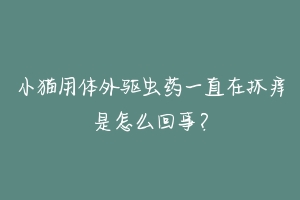 小猫用体外驱虫药一直在抓痒是怎么回事？