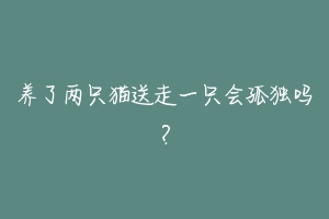 养了两只猫送走一只会孤独吗？