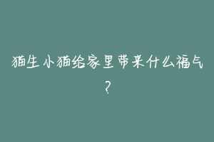 猫生小猫给家里带来什么福气？