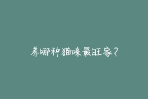 养哪种猫咪最旺家？