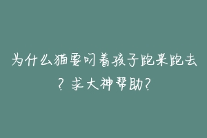 为什么猫要叼着孩子跑来跑去？求大神帮助？