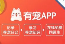 猫咪不吃东西还呕吐是怎么回事，如何调理？