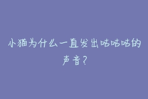 小猫为什么一直发出咕咕咕的声音？