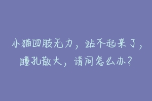 小猫四肢无力，站不起来了，瞳孔散大，请问怎么办？