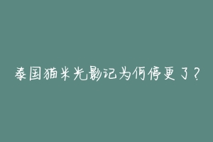 泰国猫米光影记为何停更了？