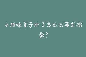 小猫咪鼻子肿了怎么回事求指教？