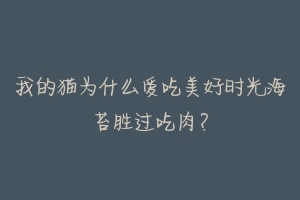 我的猫为什么爱吃美好时光海苔胜过吃肉？