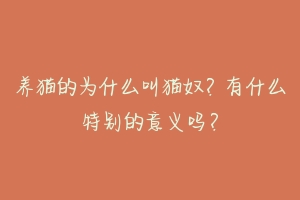 养猫的为什么叫猫奴？有什么特别的意义吗？