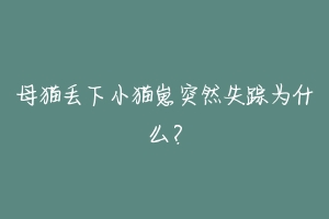 母猫丢下小猫崽突然失踪为什么？