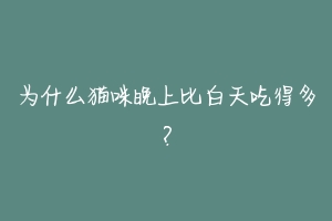 为什么猫咪晚上比白天吃得多？