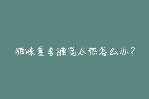 猫咪夏季睡觉太热怎么办？