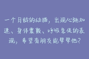 一个月龄的幼猫，出现心跳加速、身体震颤、呼吸急促的表现，希望有朋友能帮帮他？