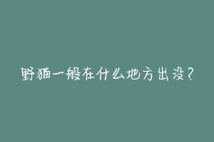 野猫一般在什么地方出没？