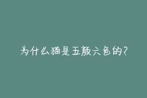 为什么猫是五颜六色的？