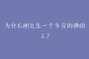 为什么刚出生一个多月的猫怕人？