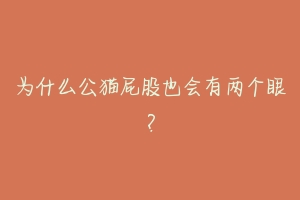 为什么公猫屁股也会有两个眼？