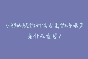 小猫吃饭的时候发出的呼噜声是什么意思？