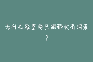 为什么家里两只猫都会有泪痕？