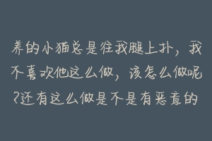 养的小猫总是往我腿上扑，我不喜欢他这么做，该怎么做呢?还有这么做是不是有恶意的？