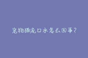 宠物猫流口水怎么回事？