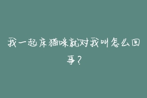 我一起床猫咪就对我叫怎么回事？