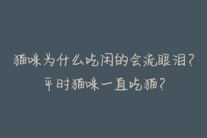 猫咪为什么吃闲的会流眼泪？平时猫咪一直吃猫？