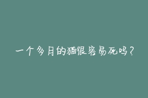 一个多月的猫很容易死吗？