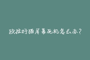 欧拉好猫屏幕死机怎么办？