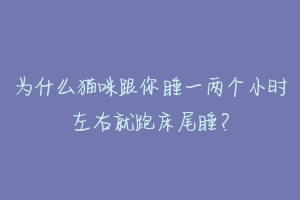 为什么猫咪跟你睡一两个小时左右就跑床尾睡？