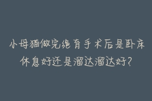 小母猫做完绝育手术后是卧床休息好还是溜达溜达好？