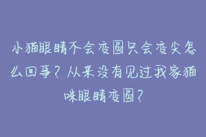 小猫眼睛不会变圆只会变尖怎么回事？从来没有见过我家猫咪眼睛变圆？