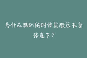 为什么猫趴的时候前肢压在身体底下？