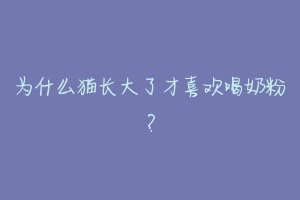 为什么猫长大了才喜欢喝奶粉？