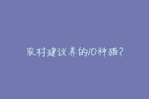 农村建议养的10种猫？