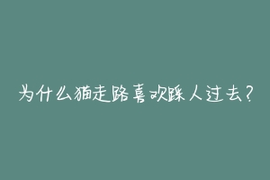 为什么猫走路喜欢踩人过去？