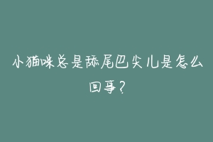 小猫咪总是舔尾巴尖儿是怎么回事？