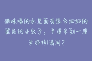 猫咪喝的水里面有很多细细的黑色的小虫子，半厘米到一厘米那样!请问？