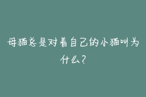 母猫总是对着自己的小猫叫为什么？