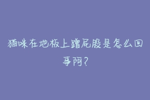 猫咪在地板上蹭屁股是怎么回事阿？