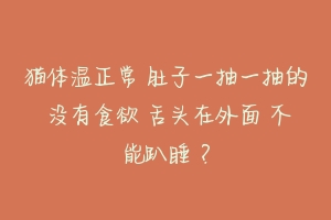 猫体温正常 肚子一抽一抽的 没有食欲 舌头在外面 不能趴睡 ？