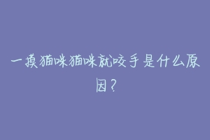 一摸猫咪猫咪就咬手是什么原因？