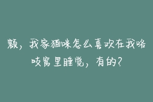 额，我家猫咪怎么喜欢在我咯吱窝里睡觉，有的？